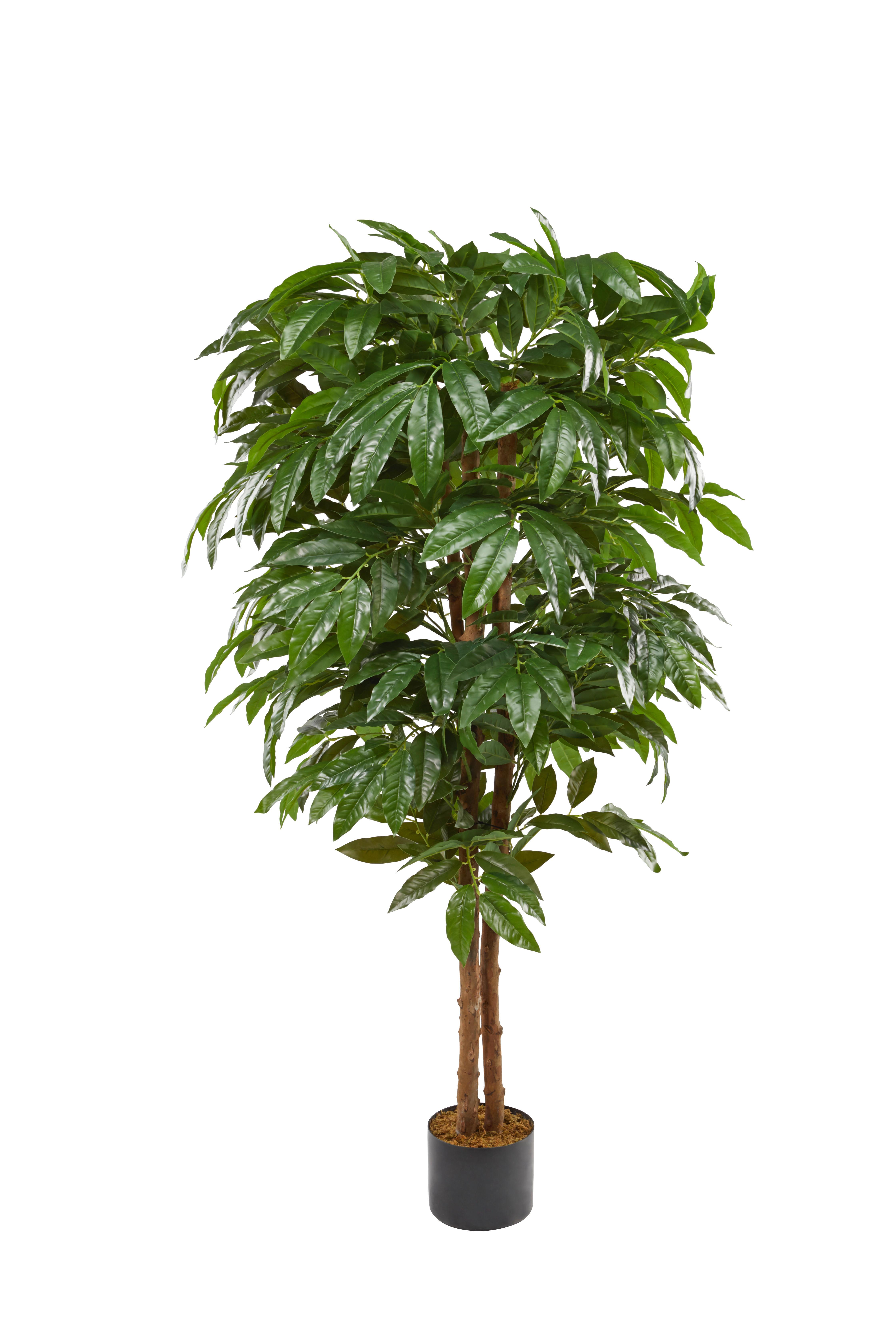 Kunstpflanze Mangobaum Herbert - Schwarz/Naturfarben, Natur, Holz/Kunststoff (150cm) - James Wood