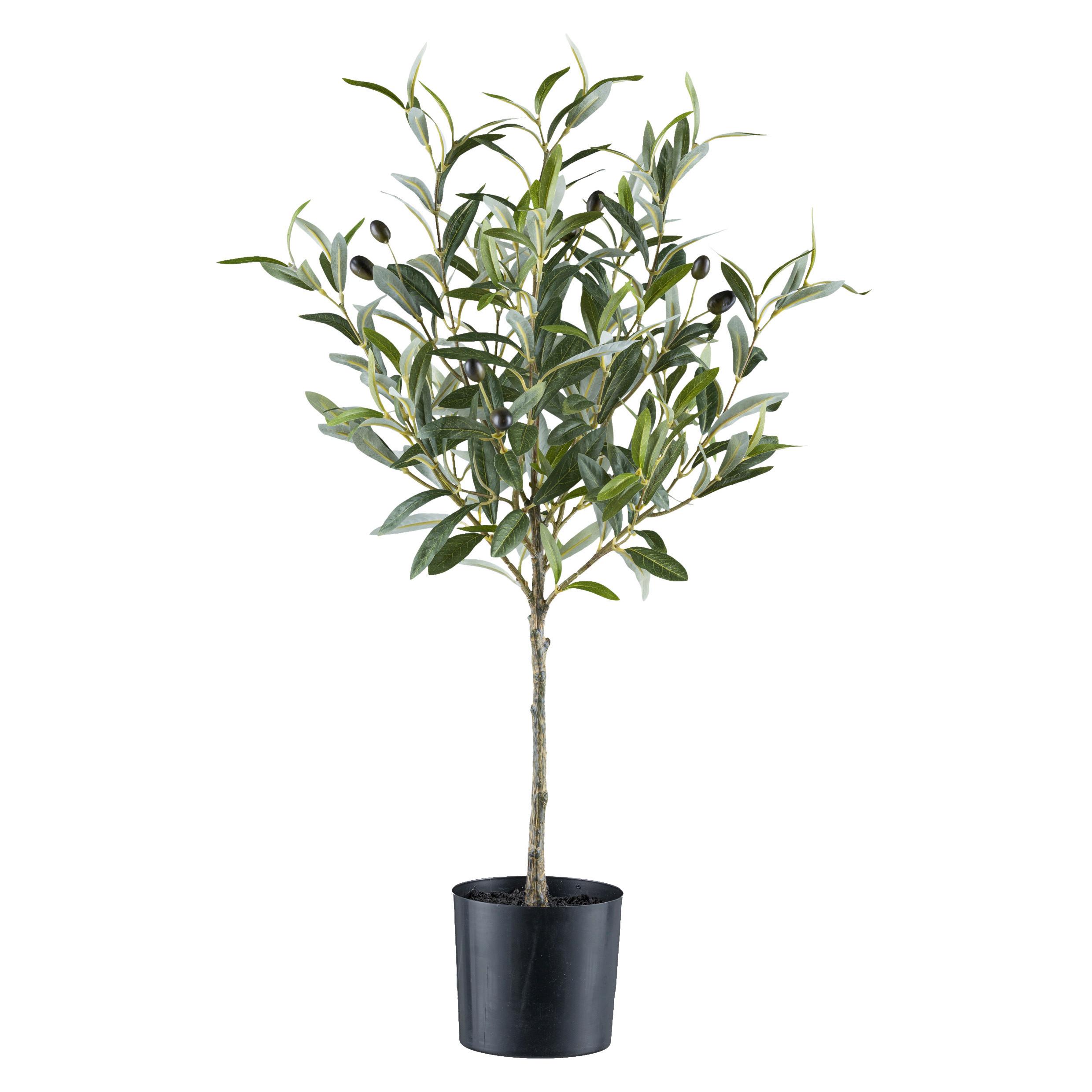 Kunstpflanze Grünpflanzen - Schwarz/Grau, Basics, Kunststoff (70cm) - P & B