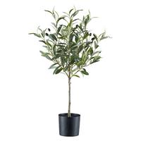 Kunstpflanze Grünpflanzen - Schwarz/Grau, Basics, Kunststoff (70cm) - P & B