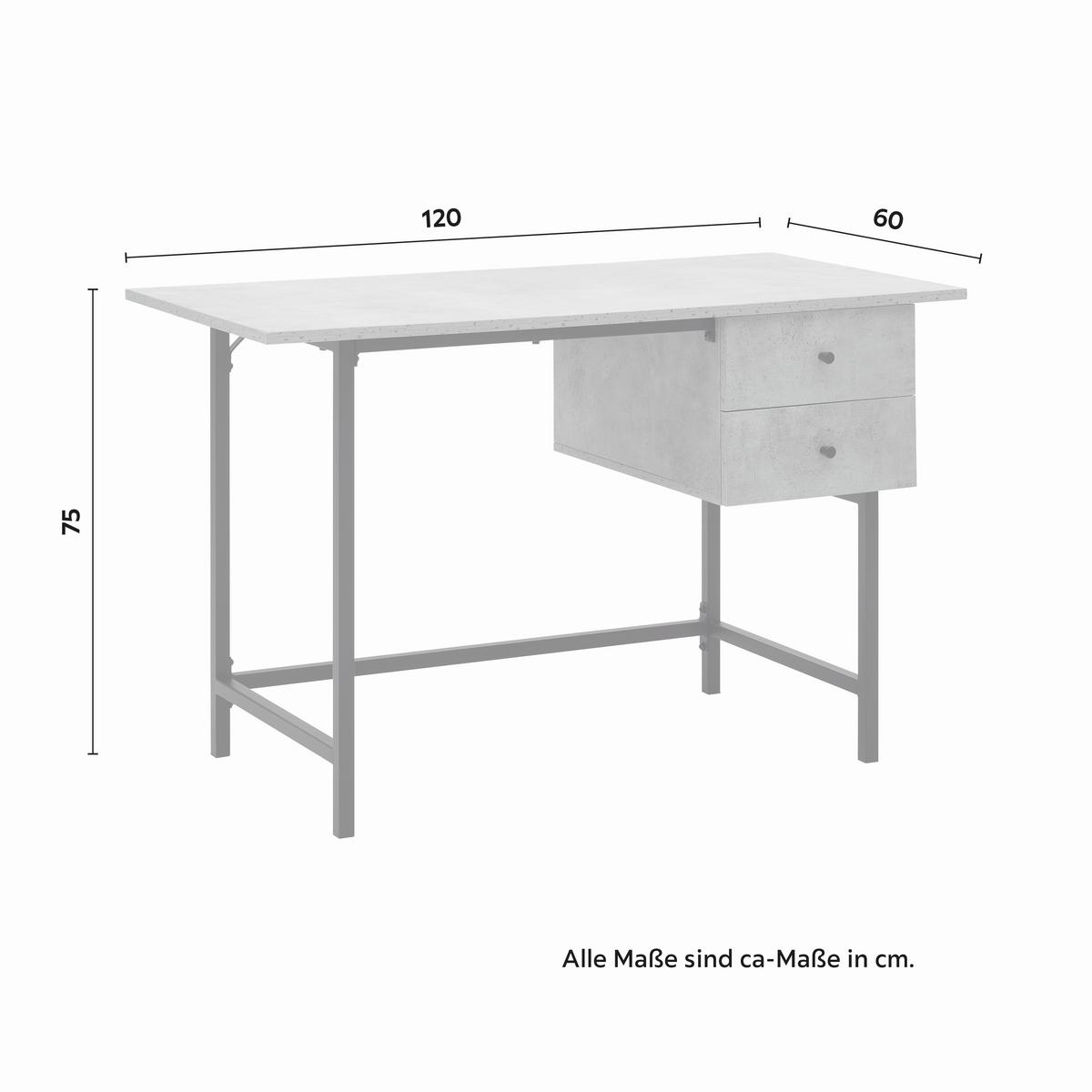 Psací stůl DONETTA 120x60 cm - šedá/černá, Moderní, kov/plast (120/60/75cm) - Bessagi Home