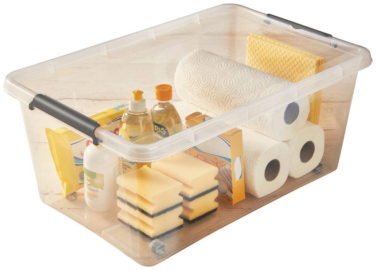 Doboz Tetővel Lars - áttetsző, Basics, műanyag (58/39/25cm) - Homezone