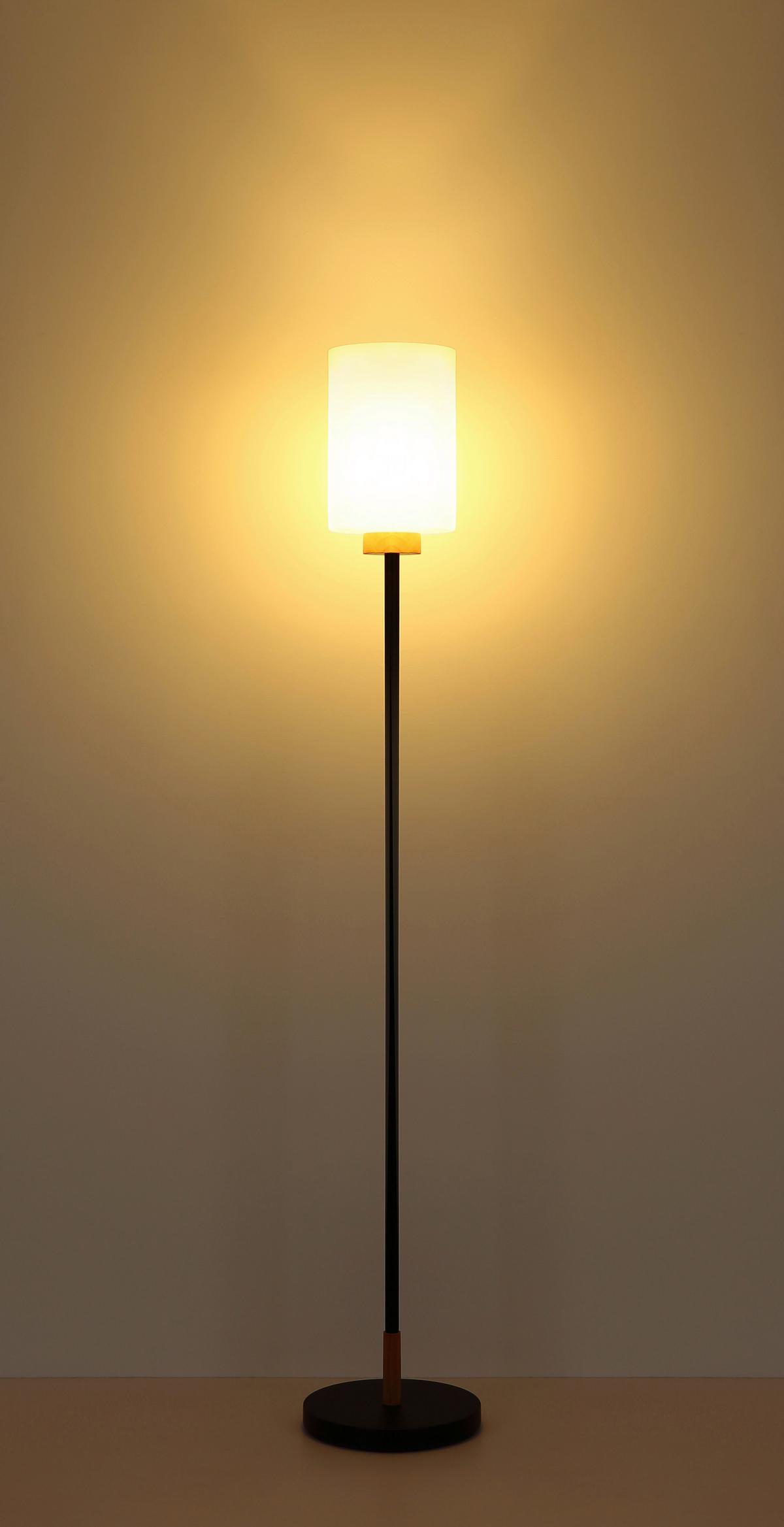 STOJACÍ LAMPA ROWENA - bílá/barvy dubu, Design, kov/dřevo (25/150cm) - Globo
