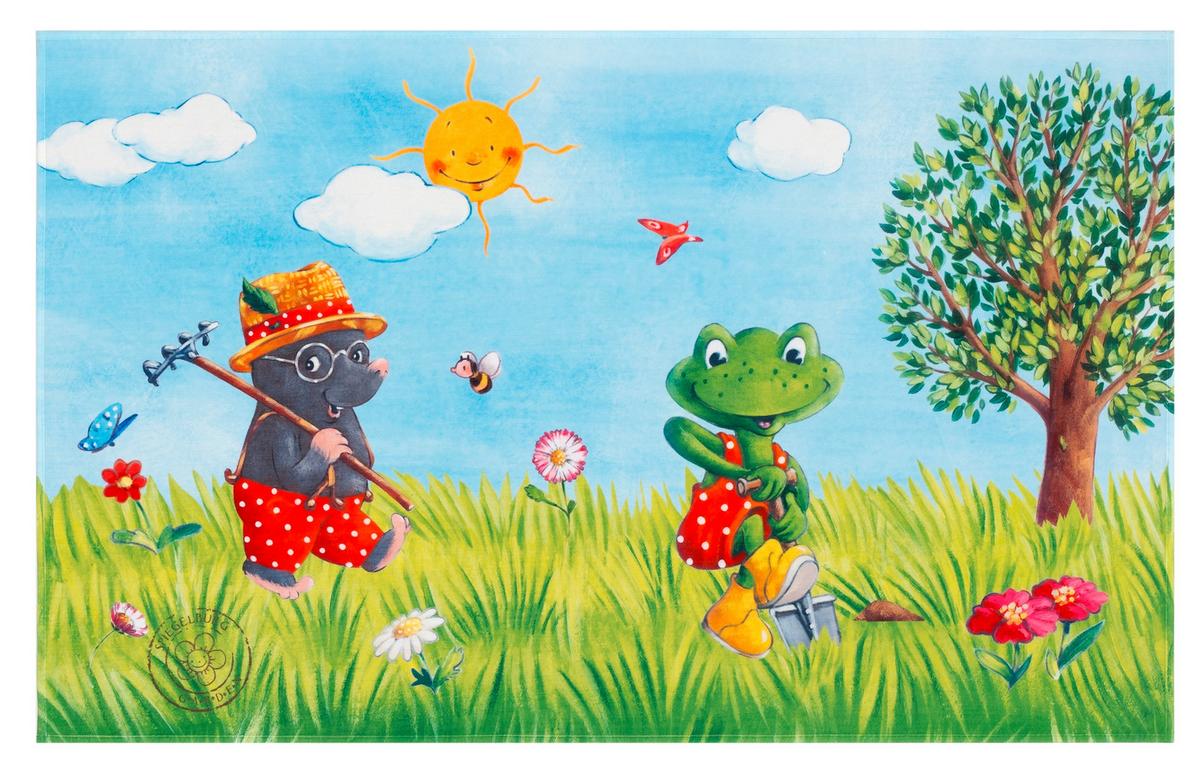 Kinderteppich Maulwurf/frosch Grün/blau Garden 140x200 Cm - Blau/Hellgrün, Trend, Textil (140/200cm)