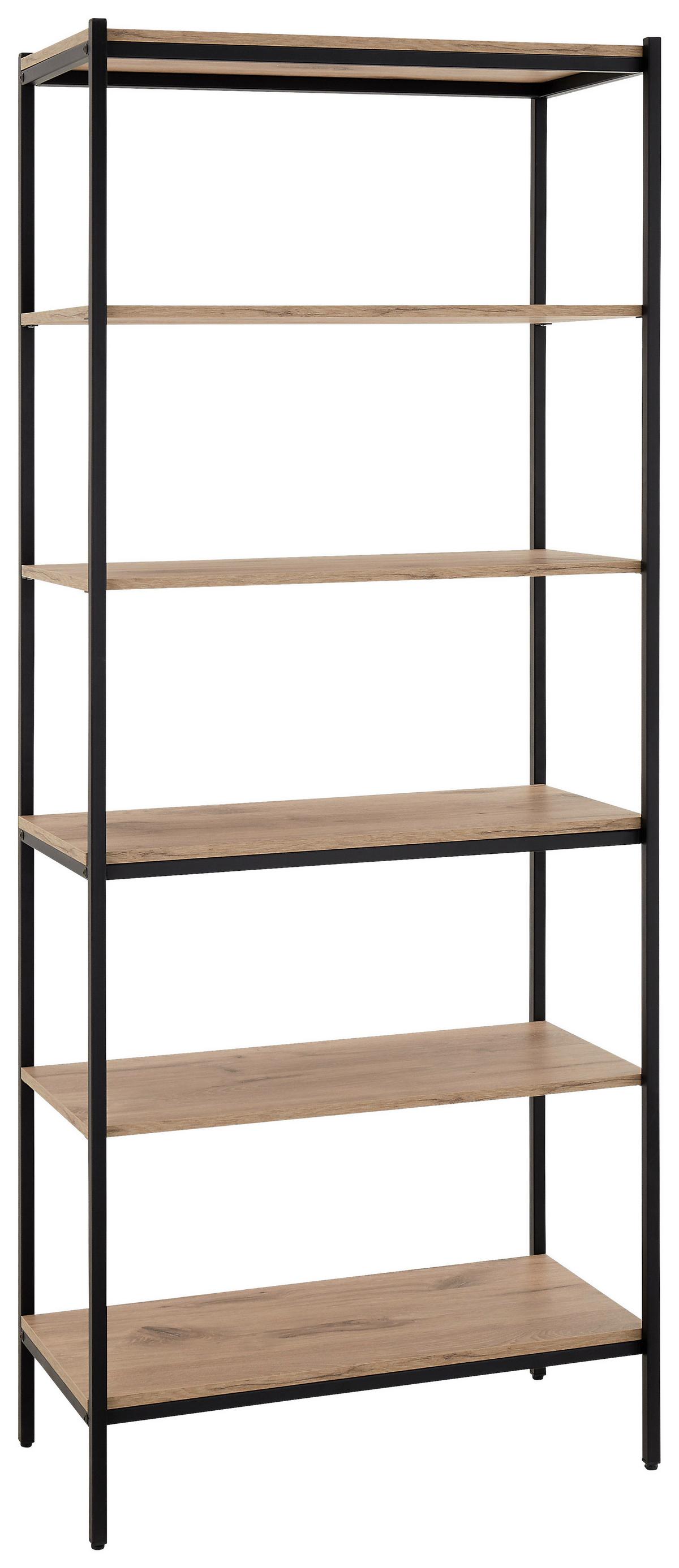 REGÁL RACK - čierna/farba duba, Basics, kov/kompozitné drevo (80/195/40cm) - P & B