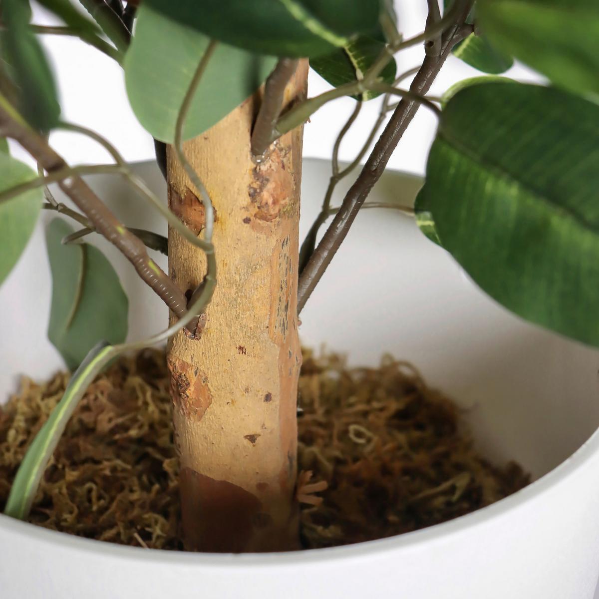 Kunstpflanze Grün/braun B: 40 Cm - Weiß/Braun, MODERN, Kunststoff (40/65/40cm) - MID.YOU