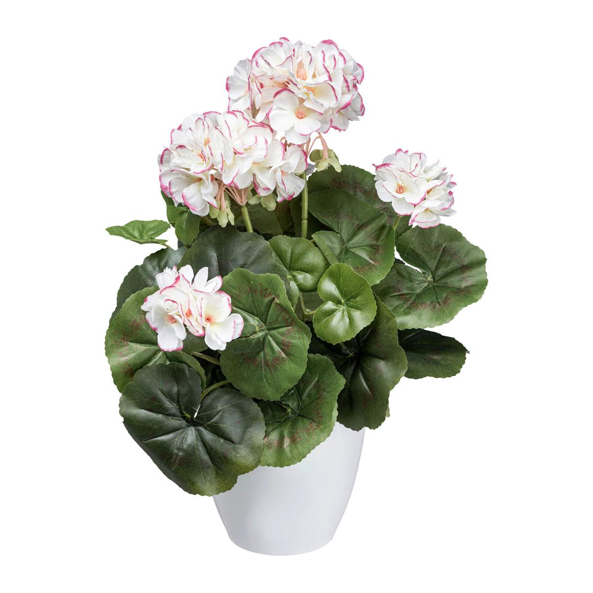 Kunstpflanze Blühpflanzen Grün/Rosa/Weiß, 34 cm - Rosa/Weiß, Design, Kunststoff (34cm) - P & B
