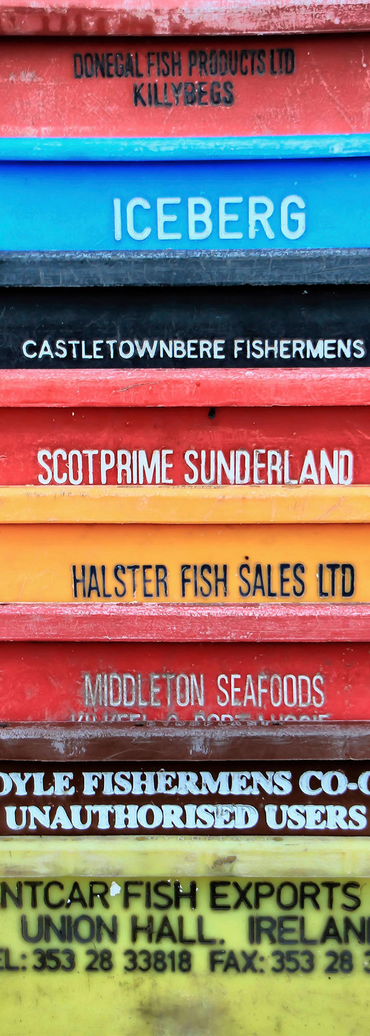 Vliestapete Cargo - Multicolor, Basics (100/280cm) - Komar