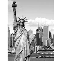 Dekopaneel Sabrina - Multicolor/Braun, KONVENTIONELL, Holzwerkstoff (60/80cm) - James Wood