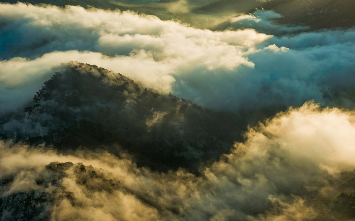 Fototapete Pangea - Multicolor, Trend, Textil (450/280cm)