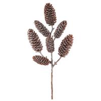 Umelá rastlina Výška: 32 cm - hnedá/tmavohnedá, Basics, plast (32cm) - Mömax