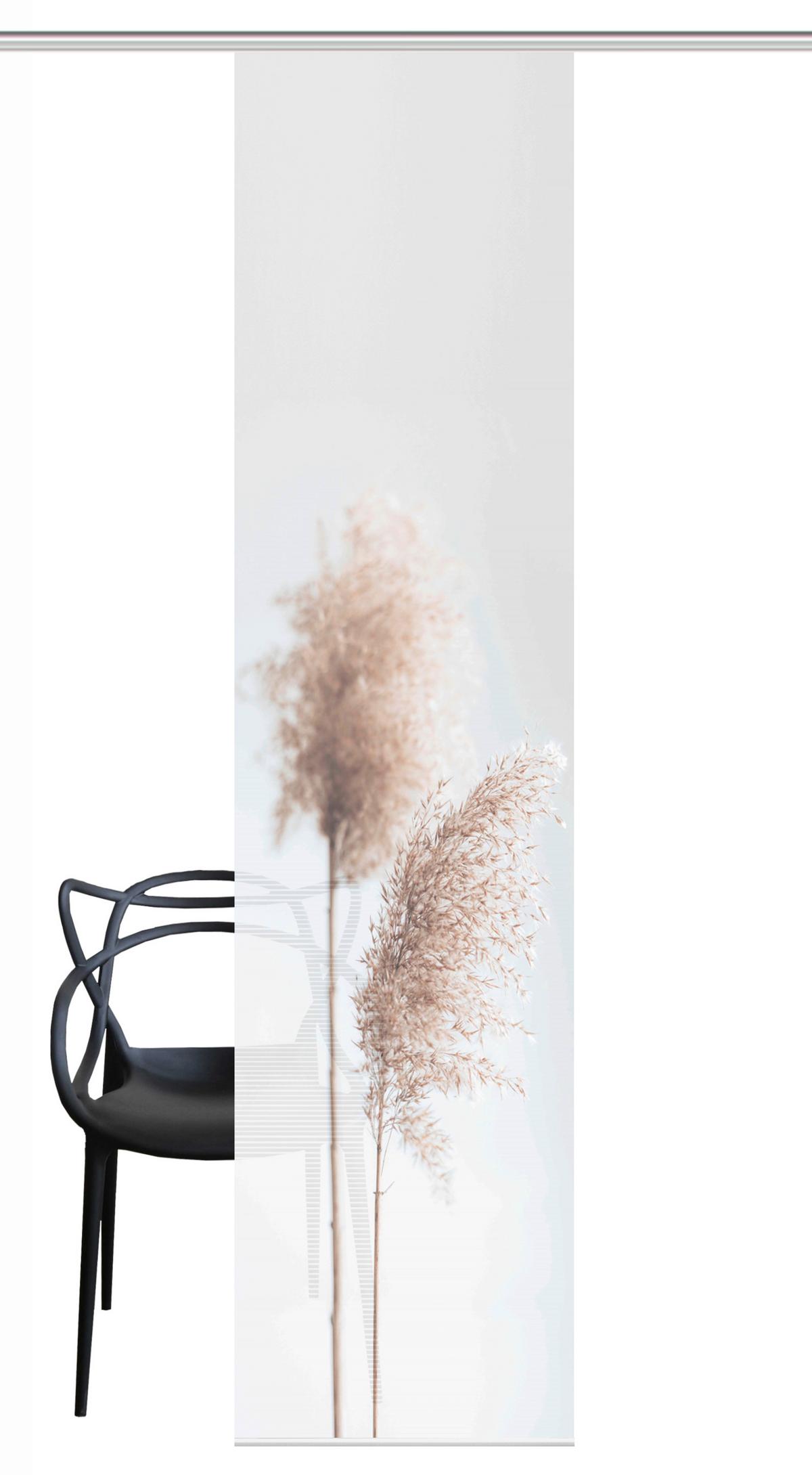 Flächenvorhang Irlos - Sandfarben, Natur, Textil (60/260cm)