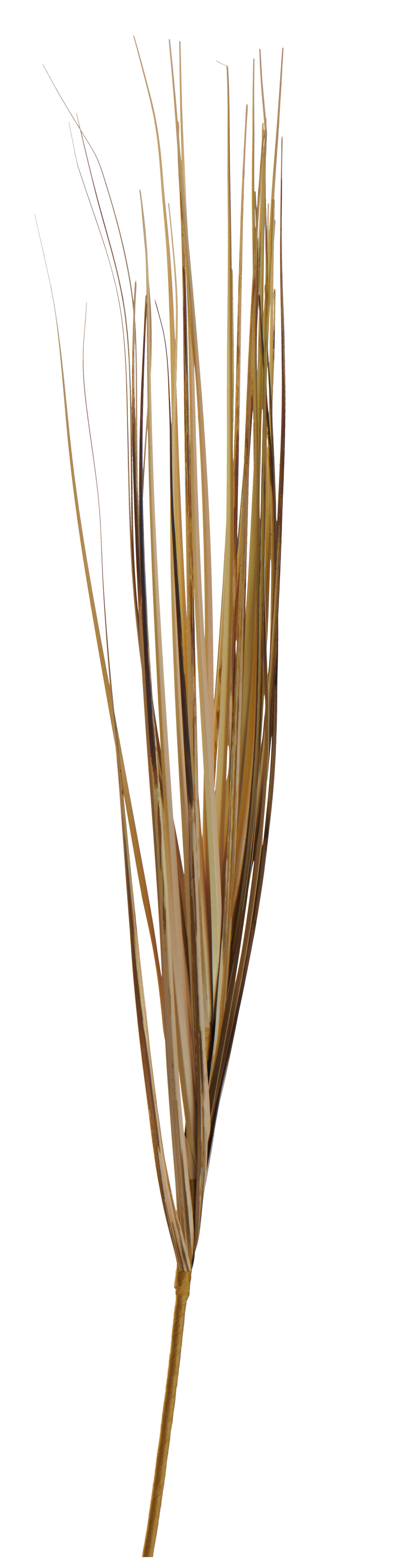 Kunstpflanze Isolpsiszweig Braun L: 70 Cm, Agatha