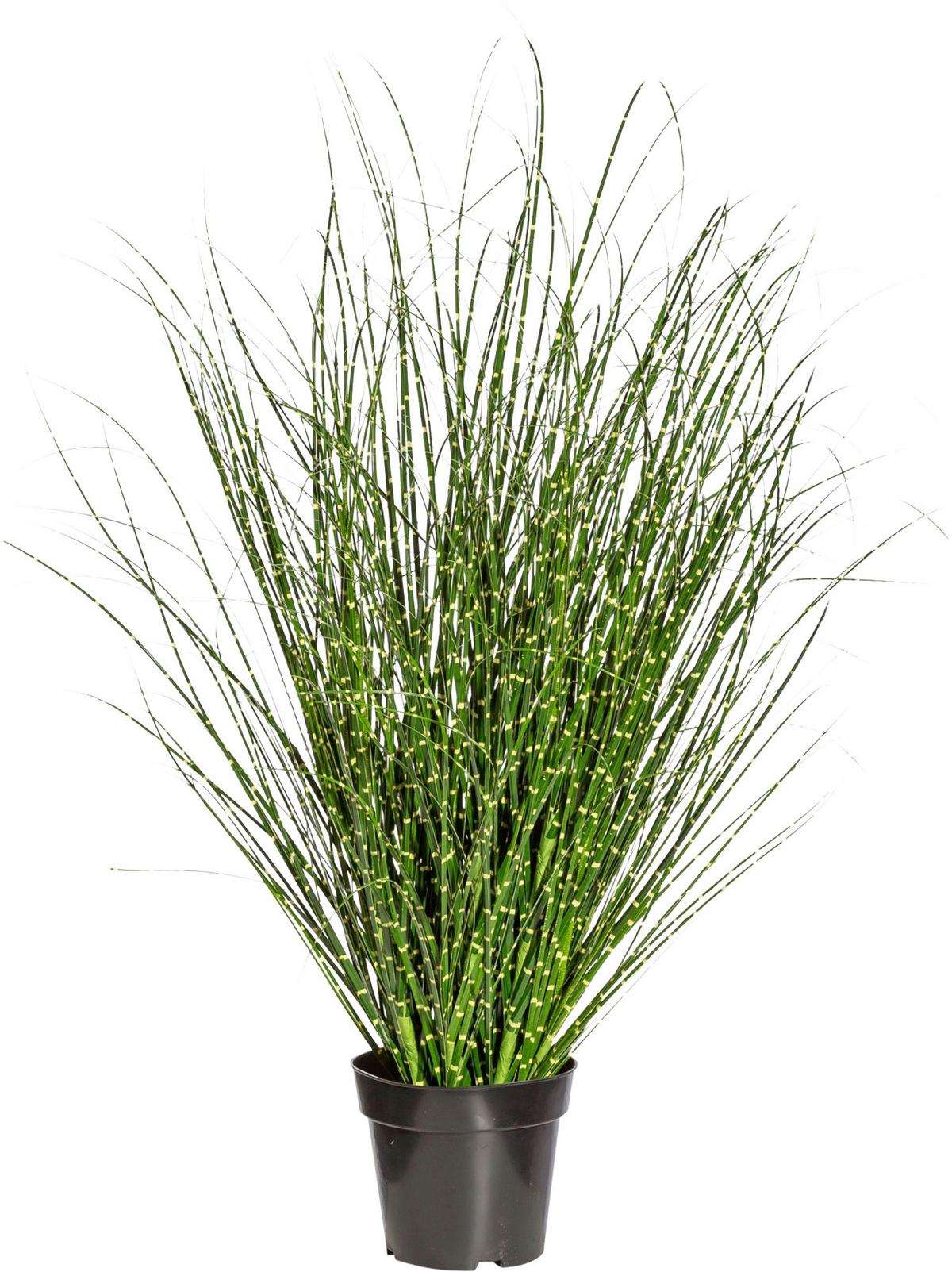 Kunstpflanze Schilfgras H: 110 cm - Gelb/Schwarz, Design, Kunststoff (110cm) - P & B