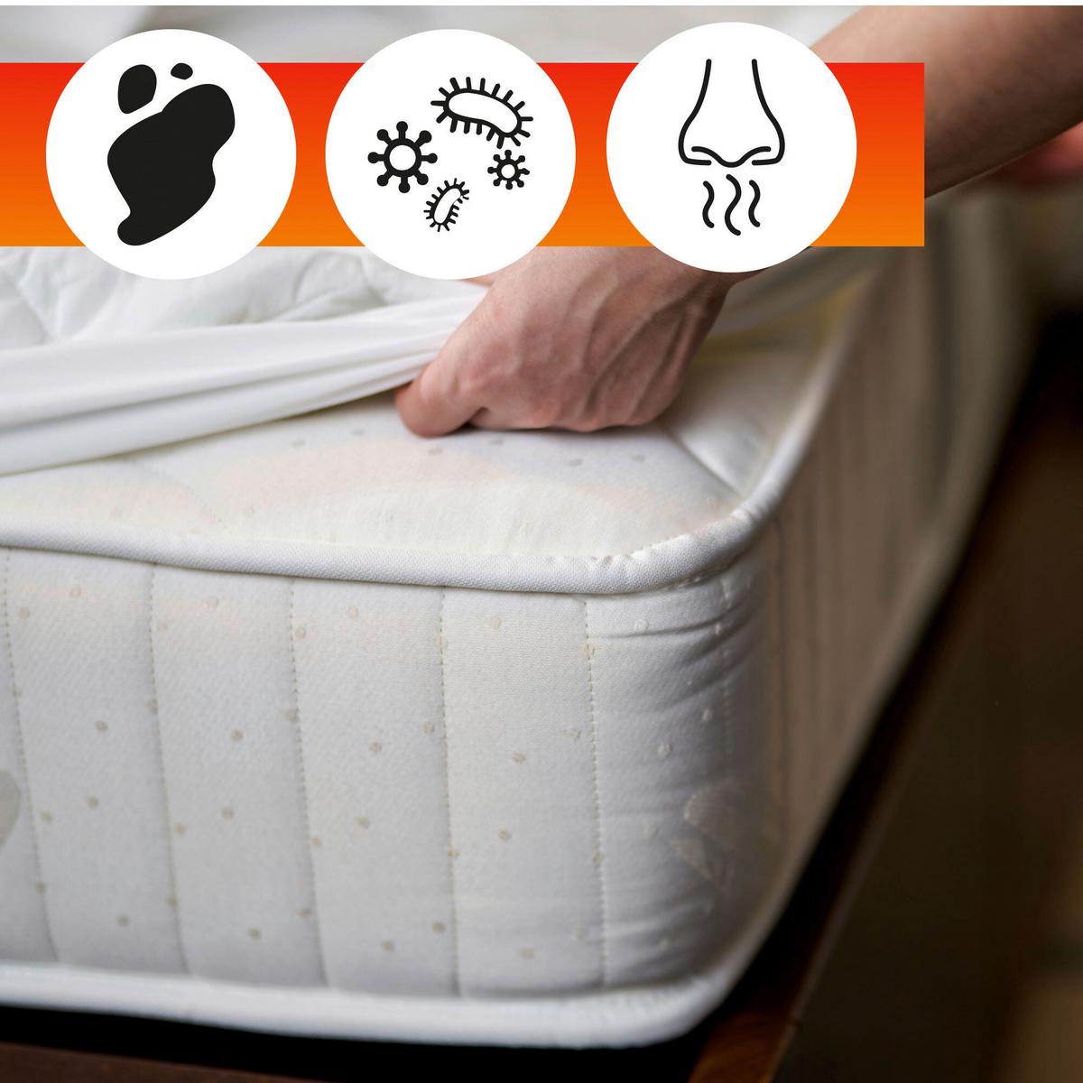 Polsterreiniger Oa Mattress Care 500 Ml - Flieder, Basics, Kunststoff (7,5/200/11cm)