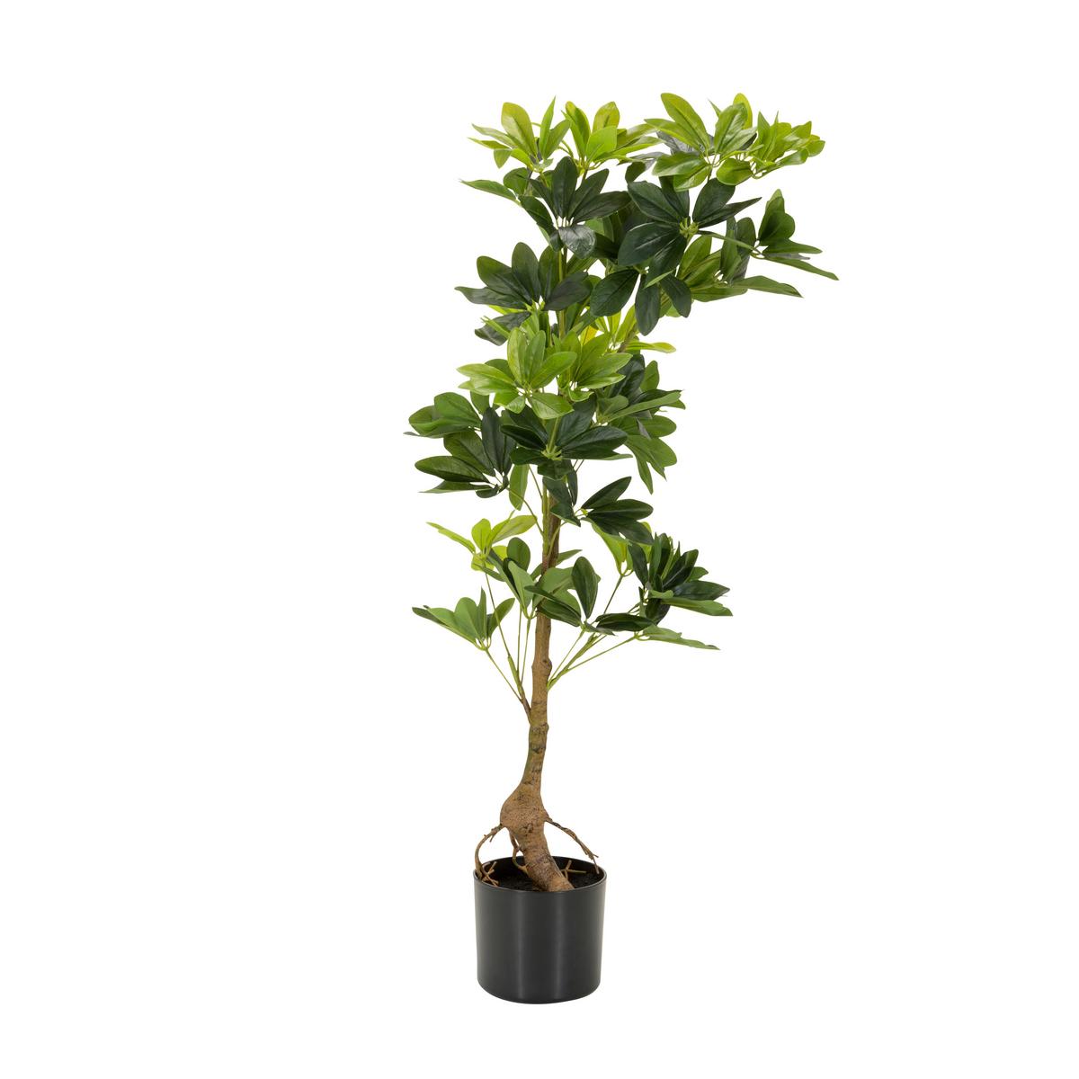 Kunstpflanze Schefflera - Schwarz/Braun, Basics, Kunststoff/Textil (38/100/30cm) - MID.YOU