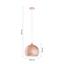 Závesná Lampa Konrad -top- - medená, Moderný, kov/plast (30/30/150cm) - Mömax modern living Závesná Lampa Konrad -top- - medená, Moderný, kov/plast (30/30/150cm) - Mömax modern living