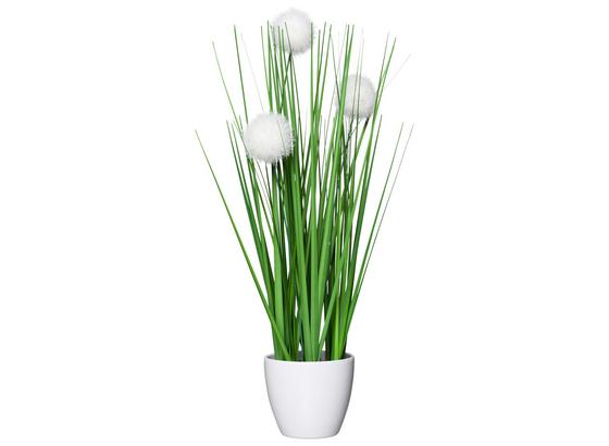 Trs Trávy Jimmy - zelená, Konvenčný, plast (37cm) Trs Trávy Jimmy - zelená, Konvenčný, plast (37cm)