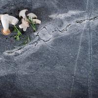 Naturstein Leather Look Naturstein Atlantis - Hellgrau, MODERN, Stein - Strasser