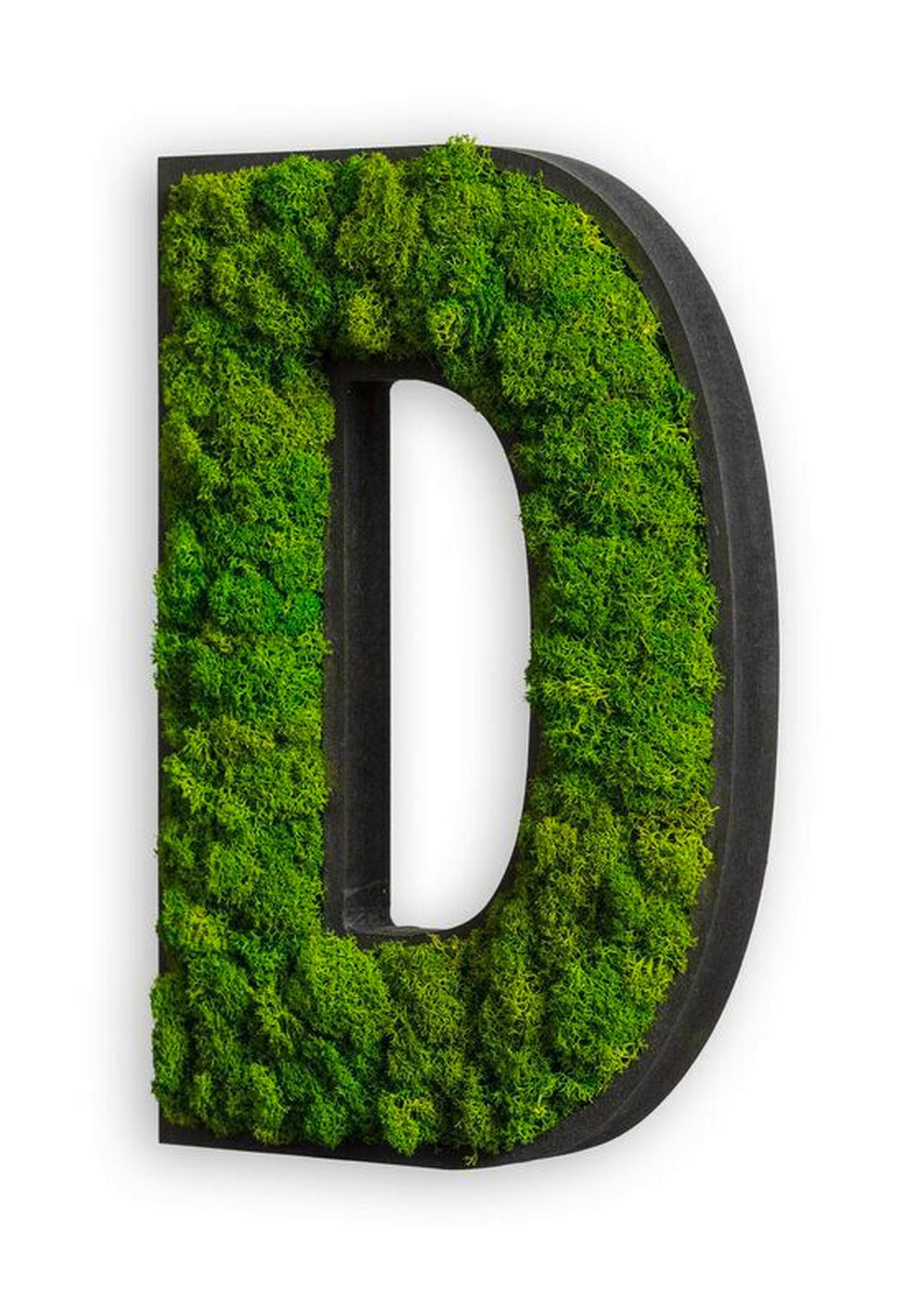 Moosbild Grün T: 25 Cm - Schwarz/Grün, Basics, Naturmaterialien/Holz (25cm)