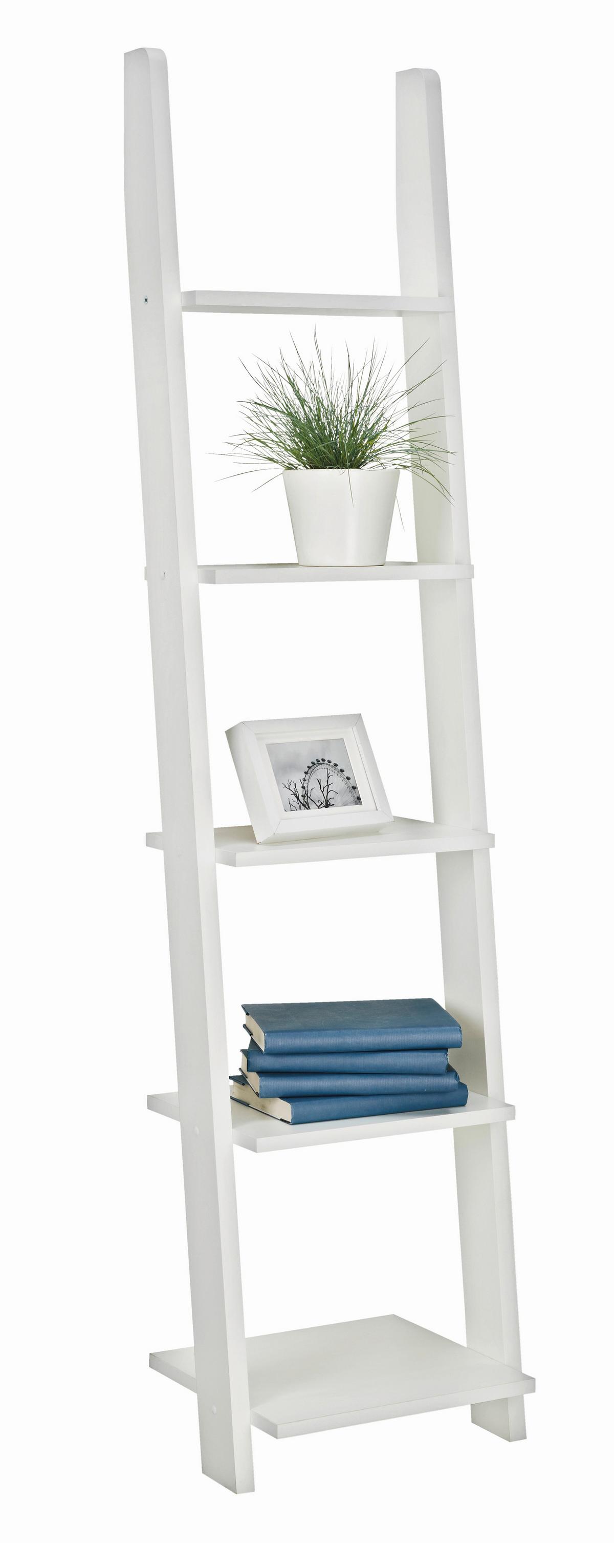 ŽEBŘÍKOVÝ REGÁL SCALA - bílá, Konvenční, dřevo/kompozitní dřevo (41,4/176/34,2cm)