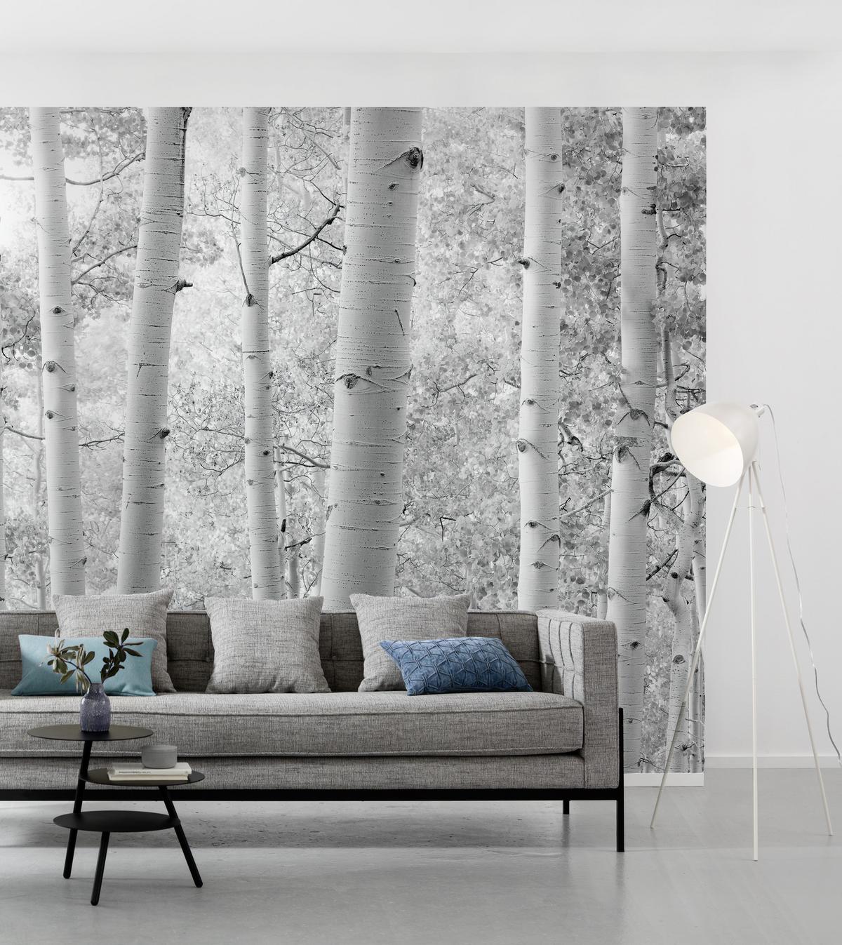 Fototapete Espenwald - Schwarz/Weiß, Trend, Textil (450/280cm)