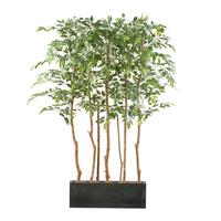 Kunstpflanze Ficus Benjamina H: 160 Cm - Schwarz/Braun, Design, Holz/Kunststoff (160cm) - P & B