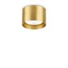 Deckenleuchte Ottone Messingfarben D: 10 cm - Messingfarben, Basics, Metall (10/6,5cm) - Ideal Lux