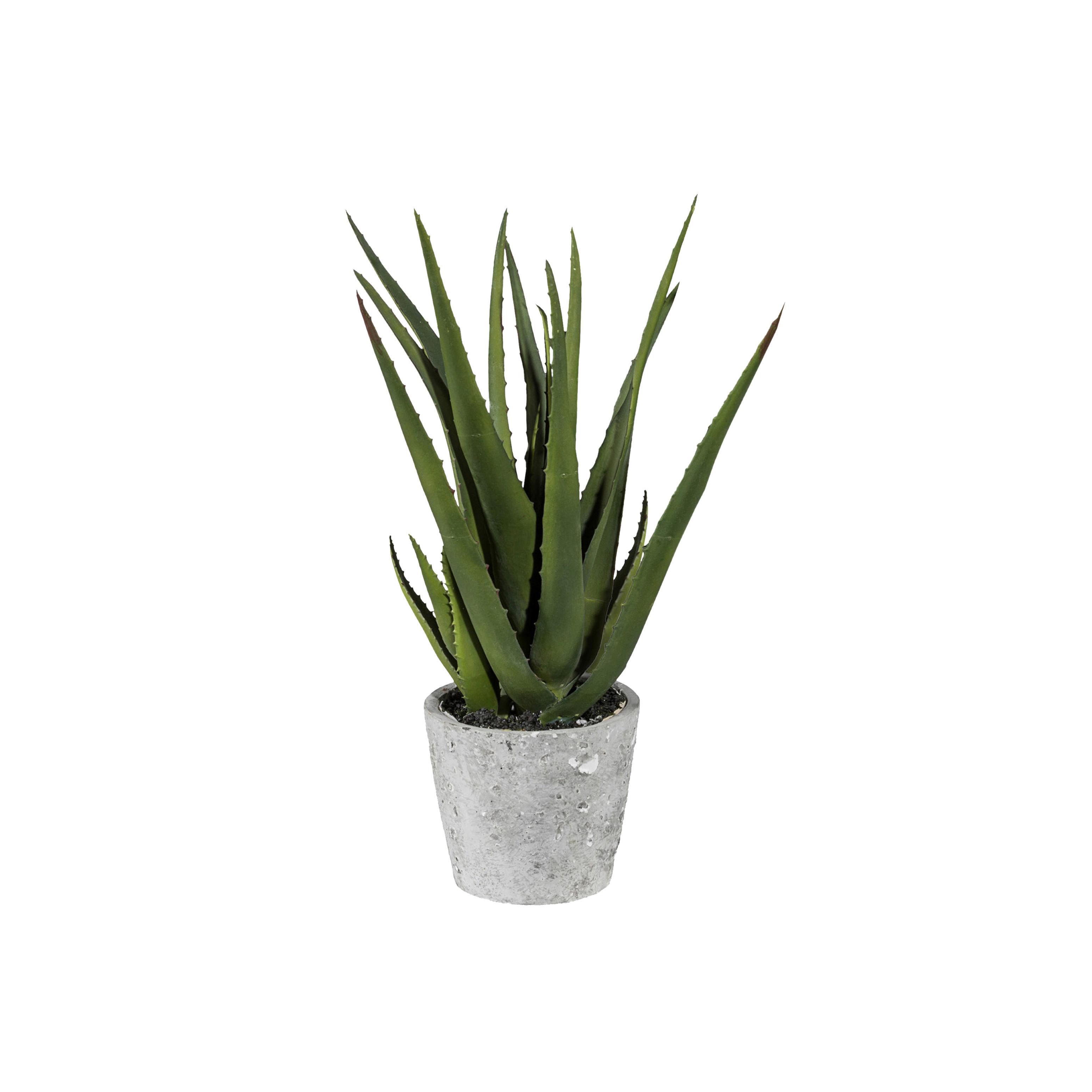 Kunstpflanze Sukkulenten Grau/Grün, 40 cm - Grau/Grün, Design, Keramik/Kunststoff (40cm) - P & B