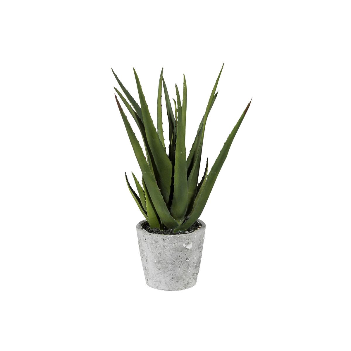 Kunstpflanze Sukkulenten Grau/Grün, 40 cm - Grau/Grün, Design, Keramik/Kunststoff (40cm) - P & B
