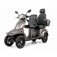 E-Seniorenmobil VISTAQ1L Blei-Akku, 4-Rad, 1000W - Grau, Basics, Metall (165/80/110cm)