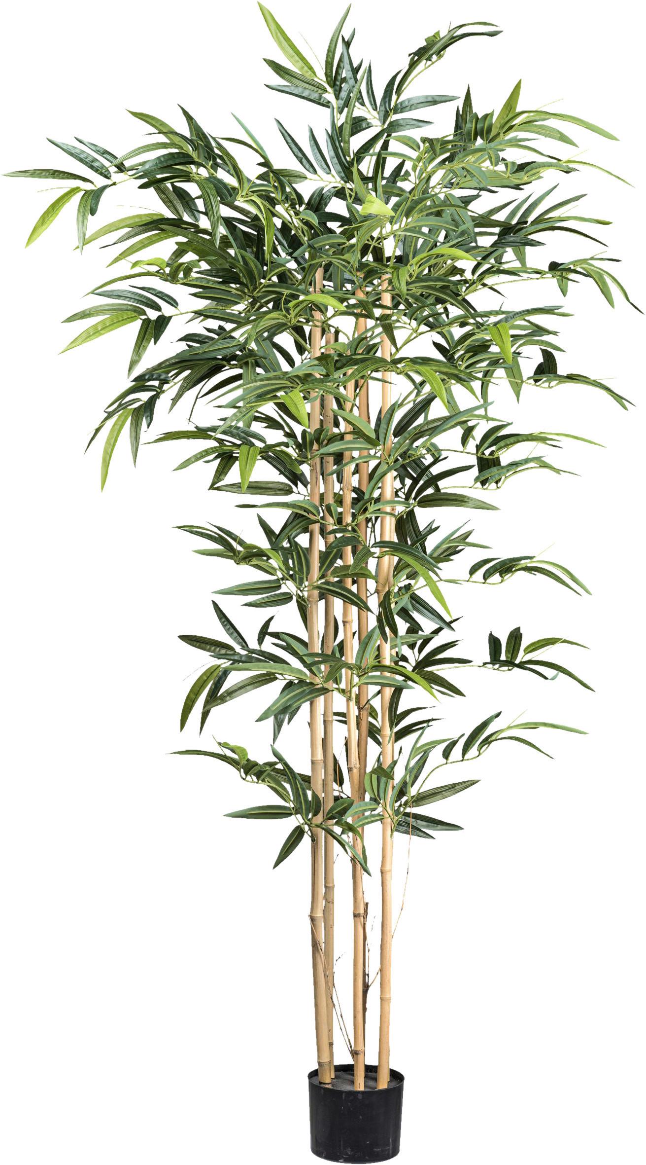 Kunstpflanze Bambus H: 150 cm - Schwarz/Naturfarben, Design, Kunststoff (150cm)