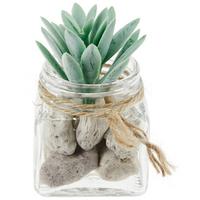 Kunstpflanze Sukkulente Grün L: 8,5 cm, Haviva - Klar/Grau, MODERN, Glas/Naturmaterialien (5,1/8,5cm) - Luca Bessoni