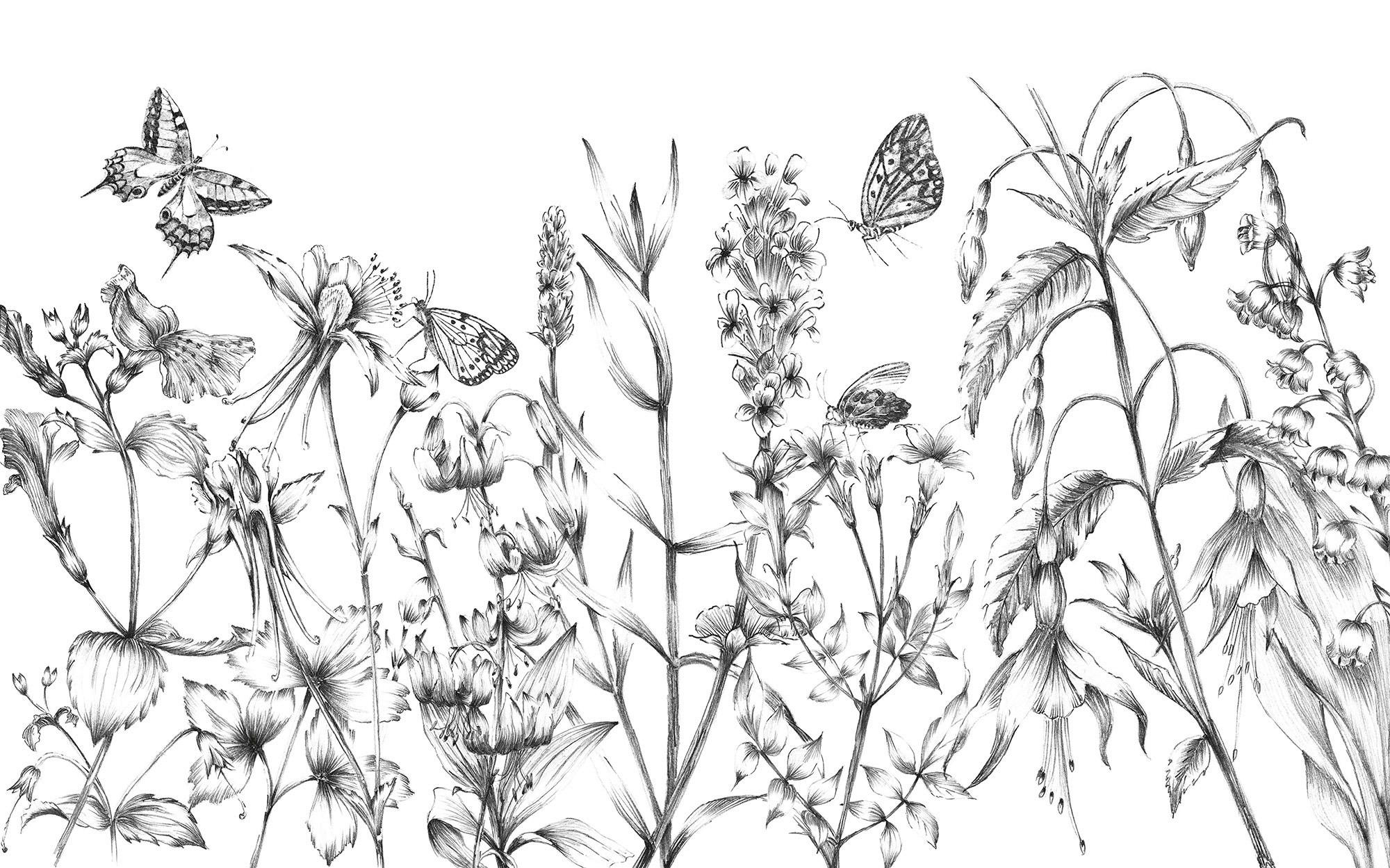 Vliestapete Butterfly Field - Schwarz/Weiß, Basics (400/250cm) - Komar