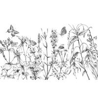 Vliestapete Butterfly Field - Schwarz/Weiß, Basics (400/250cm) - Komar