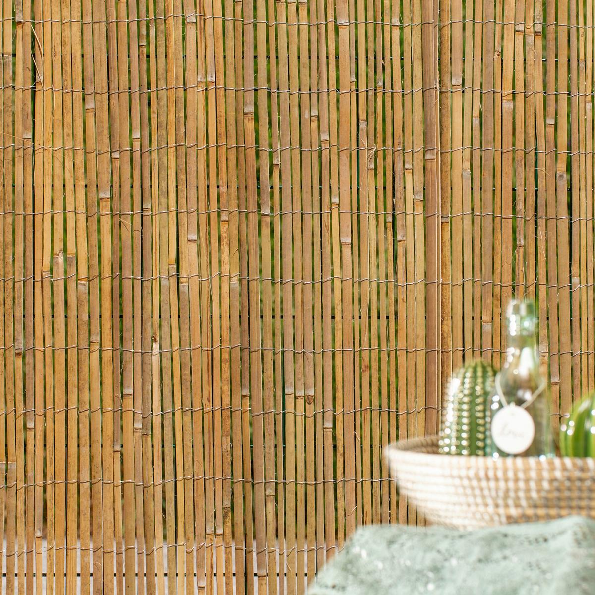 Sichtschutz Mitake Natur 100x300 Cm - Naturfarben, Basics, Naturmaterialien (100/300cm)