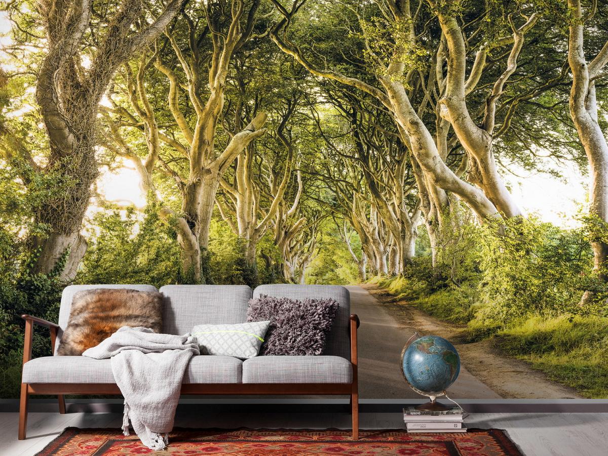 Vliestapete Sh057-Vd4 Golden Hedges - Natur (400/250cm)
