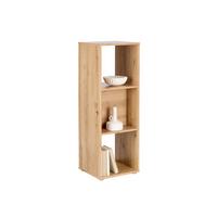 Regal Pisa 13 Artisan B: 38,4 cm - Eiche Artisan, Trend, Holzwerkstoff (38,4/113/35cm)
