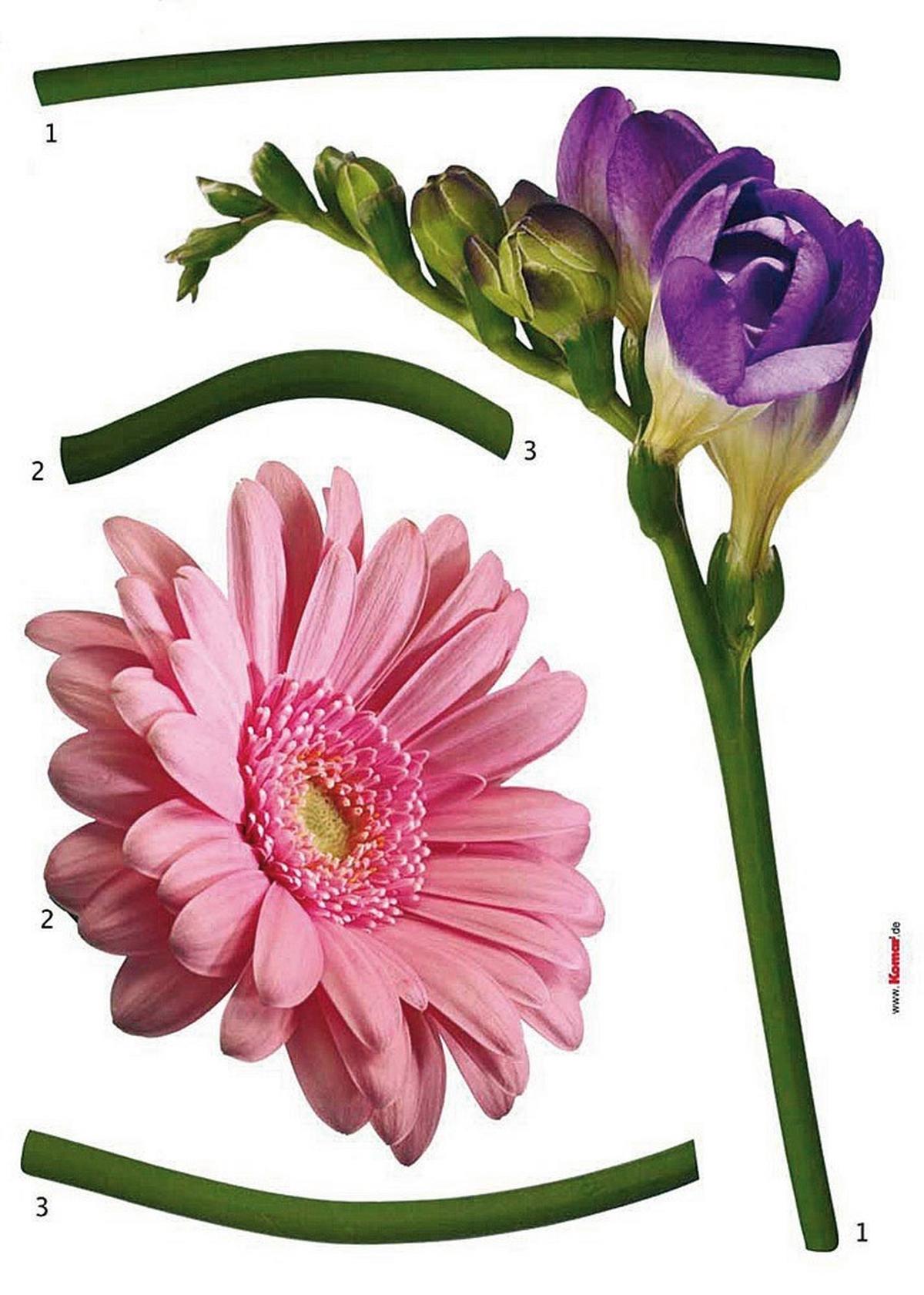 Dekosticker 18887h - Lila/Rosa, Natur, Kunststoff (50/70cm)