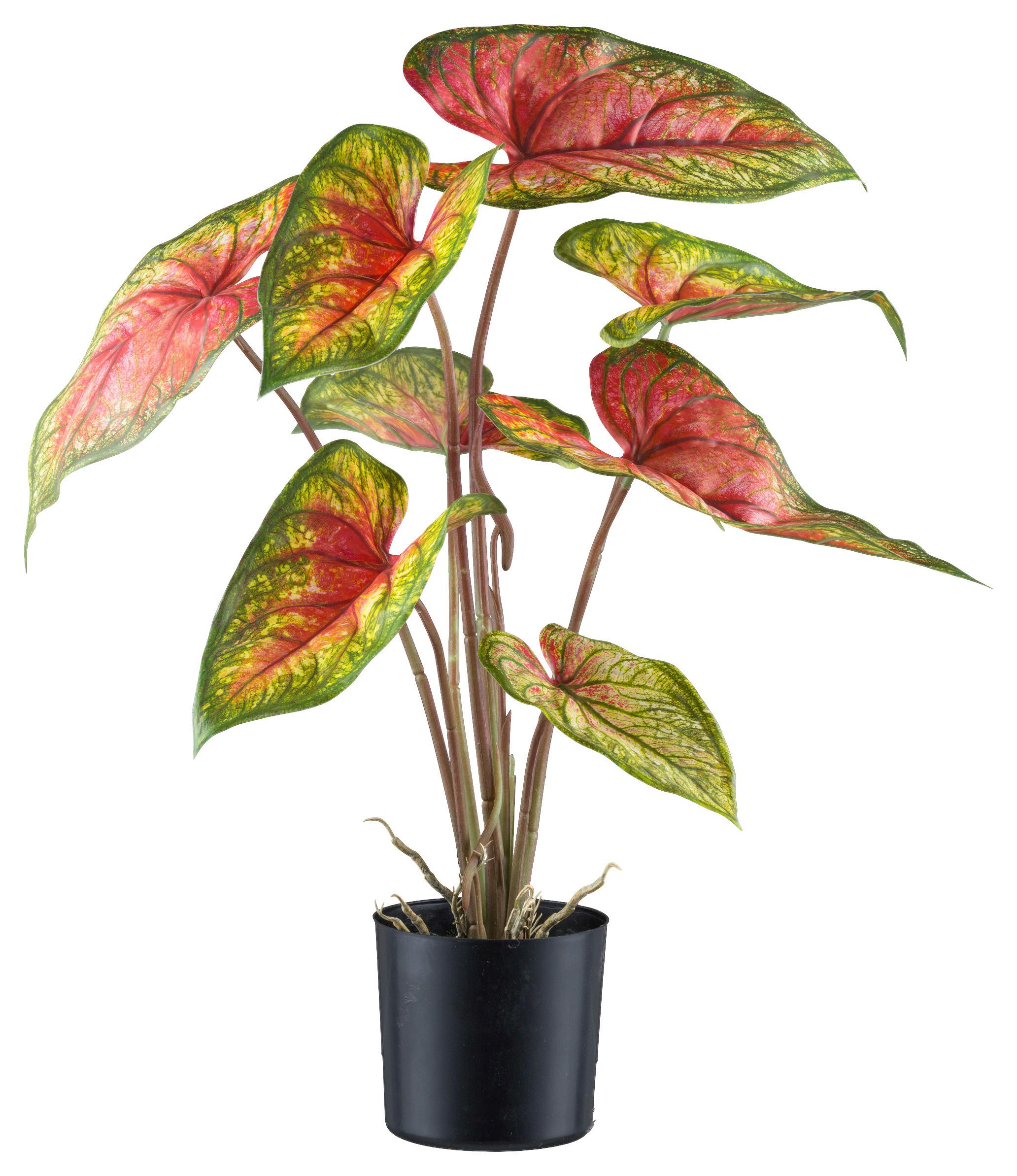 Kunstpflanze H: 55 cm - Rot/Schwarz, Design, Kunststoff (55cm)