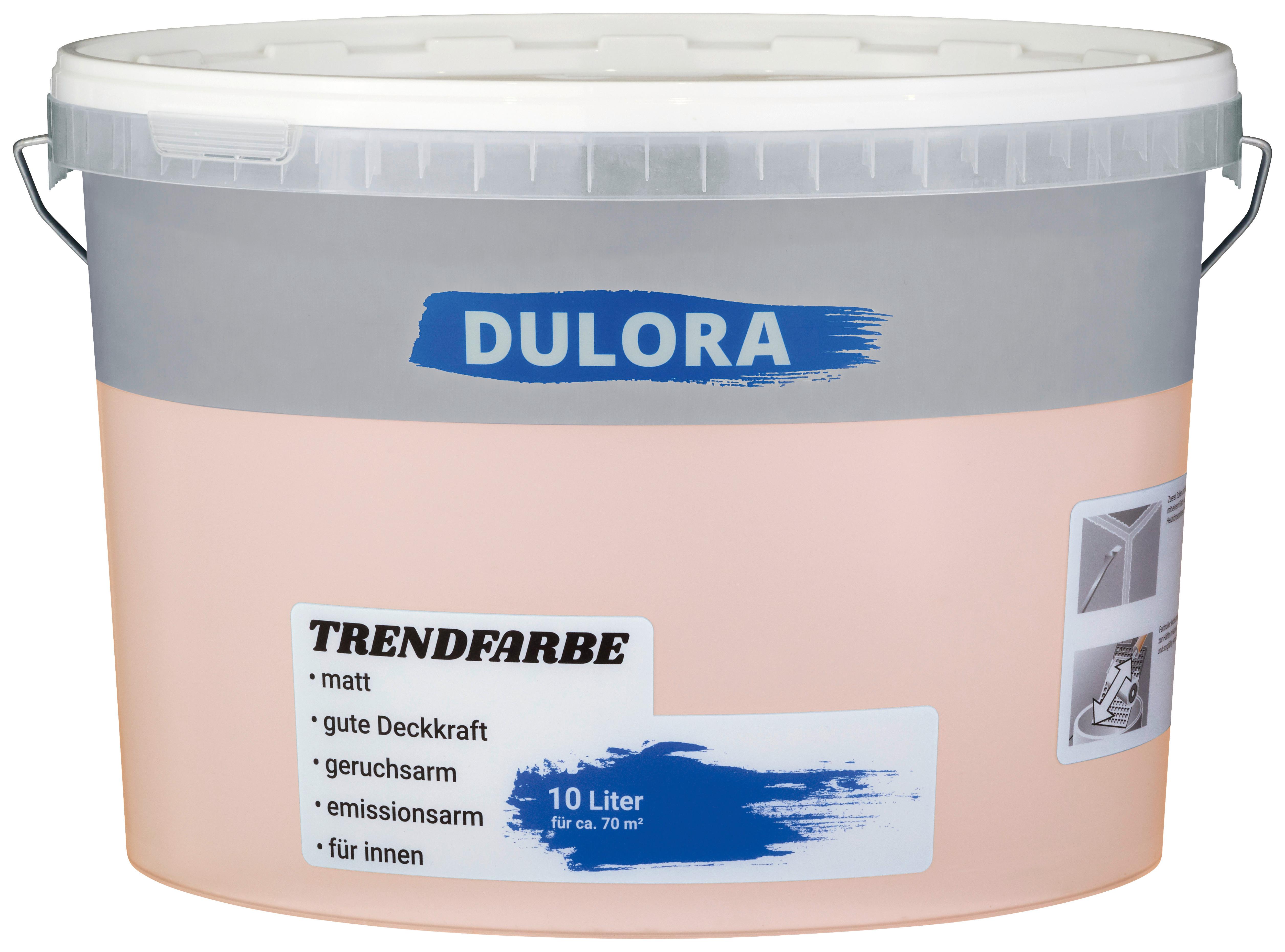 Wandfarbe Dulora 10 Liter Fee