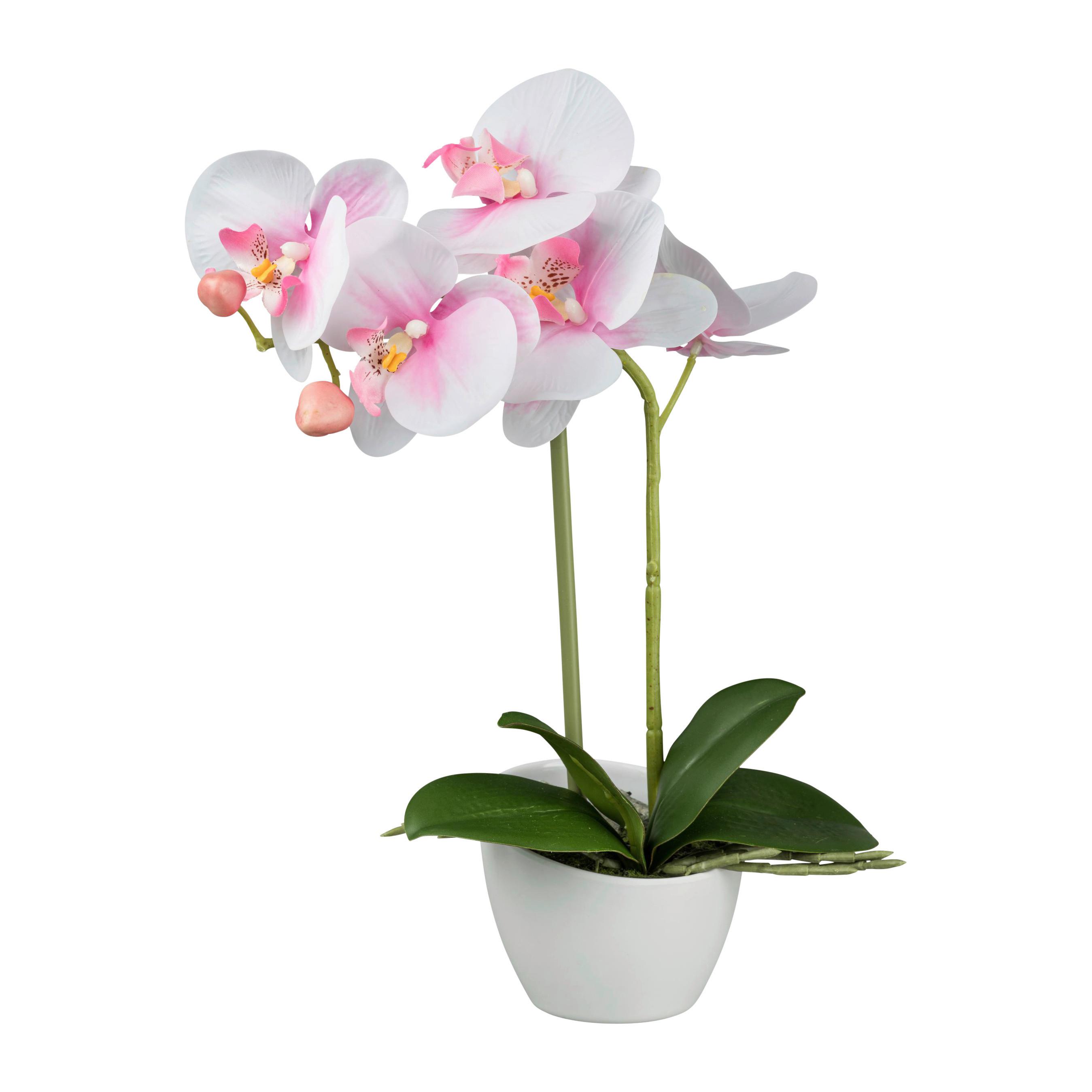 Kunstpflanze Orchideen Rosa, Topf: Weiß, H: 33 cm - Rosa/Weiß, Design, Kunststoff (33cm) - P & B