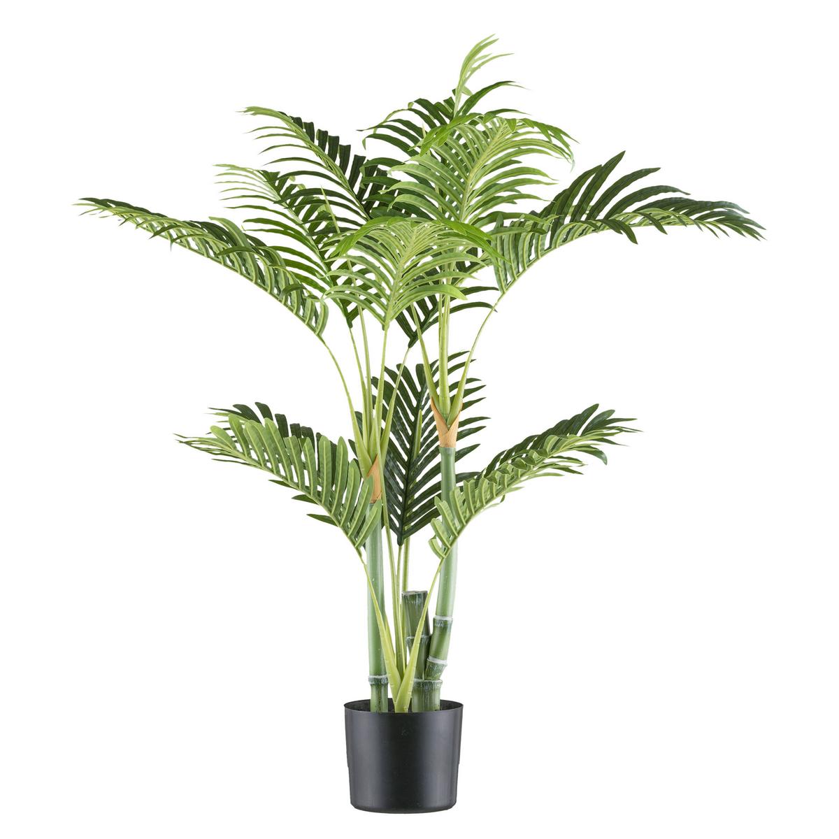 Kunstpflanze Palmen Grün/Schwarz, 100 cm - Schwarz/Grün, Design, Kunststoff (100cm) - P & B