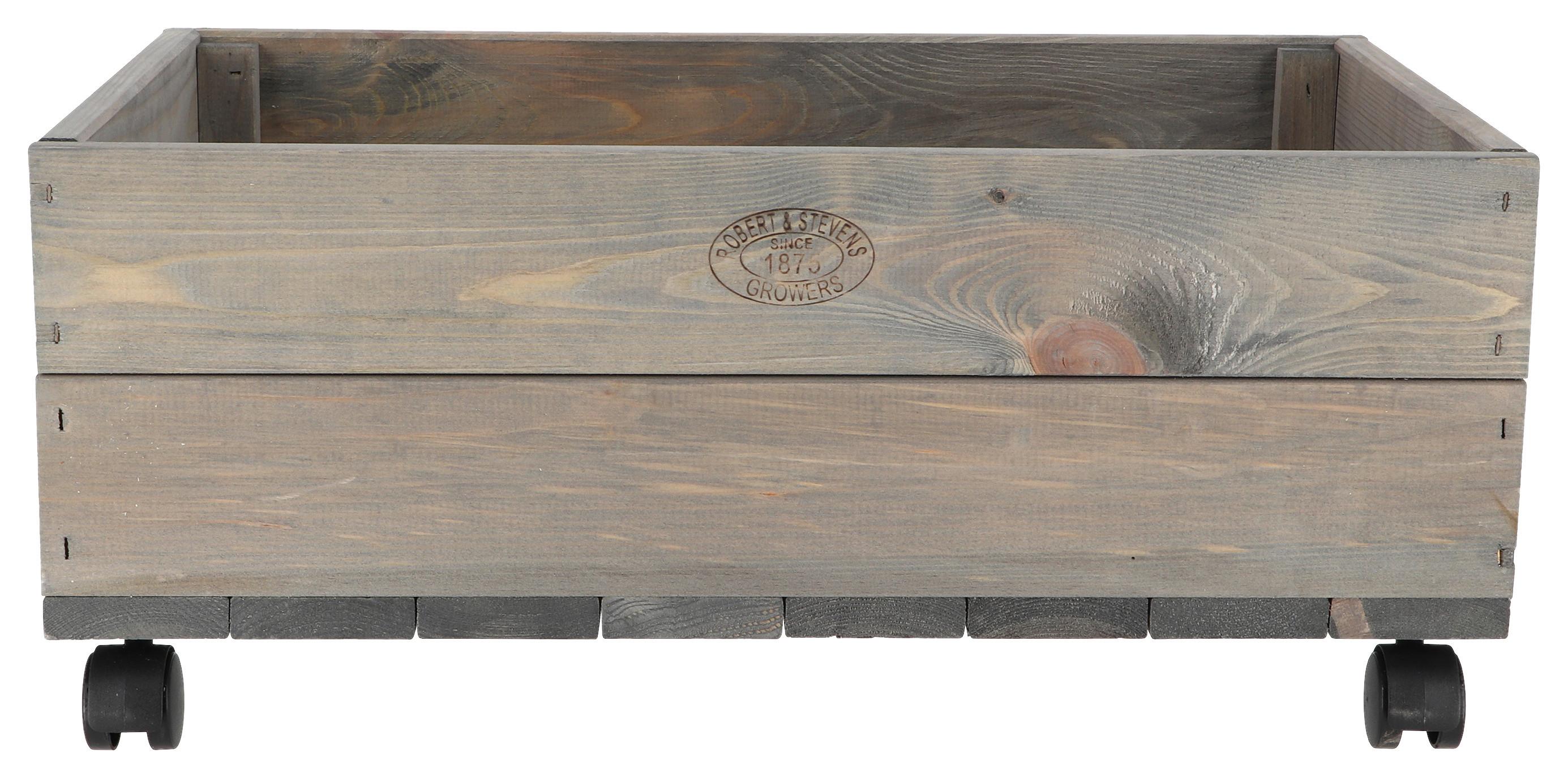 KISTE PFLANZKASTEN MIT ROLLEN - Anthrazit, Basics, Holz (59/39,2/25,2cm)