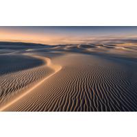 Fototapete Glowing Lines - Braun, Trend, Textil (450/280cm)