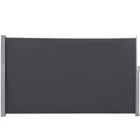 Seitenmarkise Grau BxH: 400x160 cm - Grau, Basics, Textil/Metall (400/160cm) - Modante