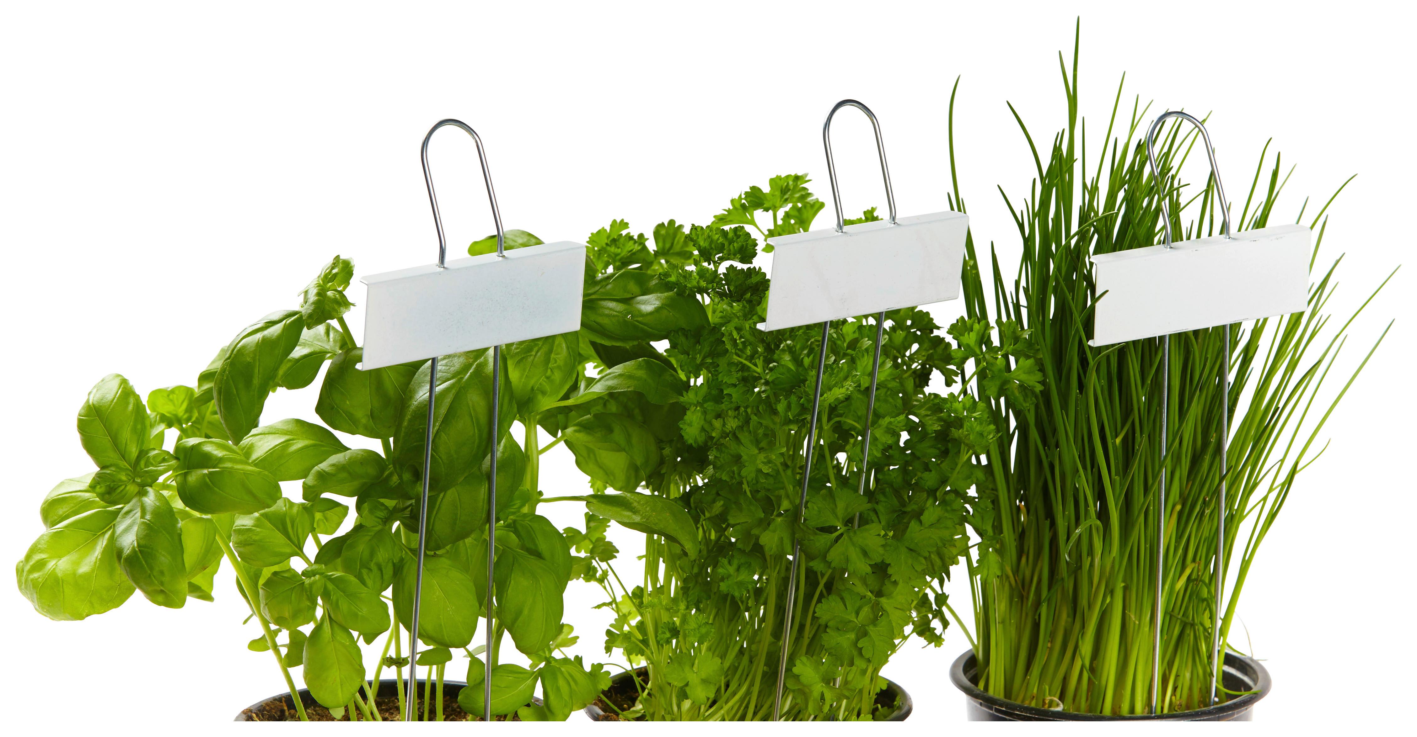 Pflanzenstecker Herb 5er-Set Stahl Weiß H: 27 Cm - Zinkfarben/Weiß, Metall (9/27cm) - Homezone