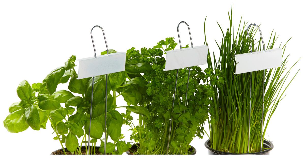 Pflanzenstecker Herb 5er-Set Stahl Weiß H: 27 Cm - Zinkfarben/Weiß, Metall (9/27cm) - Homezone