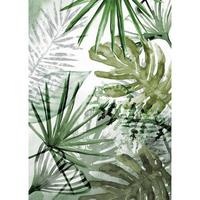 Fototapete Monstera - Dunkelgrün/Weiß, Trend, Papier/Kunststoff (200/280cm)