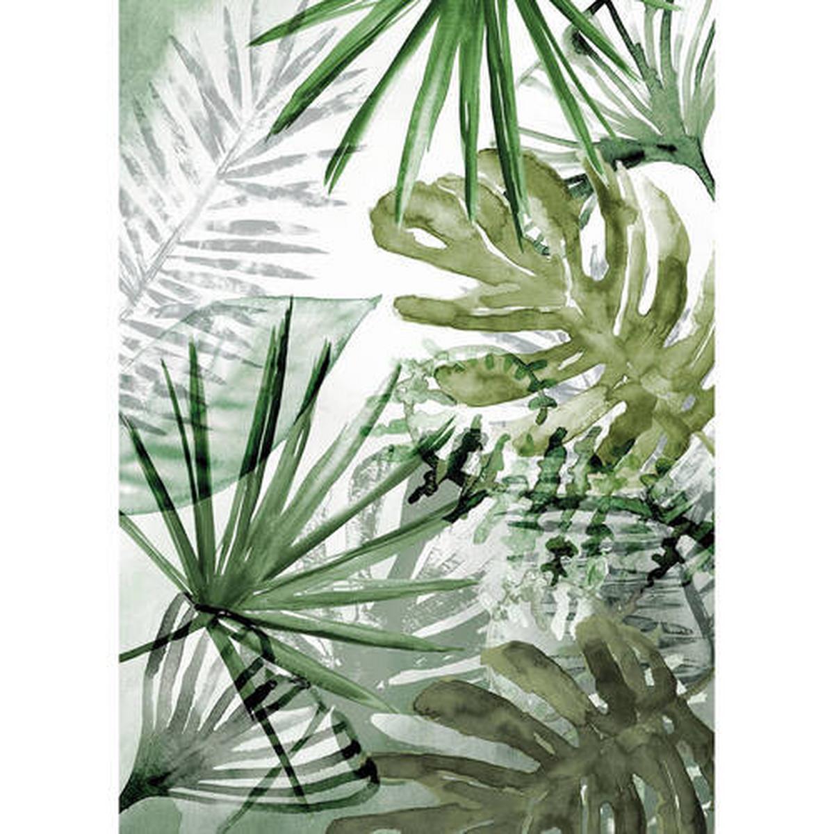 Fototapete Monstera - Dunkelgrün/Weiß, Trend, Papier/Kunststoff (200/280cm)