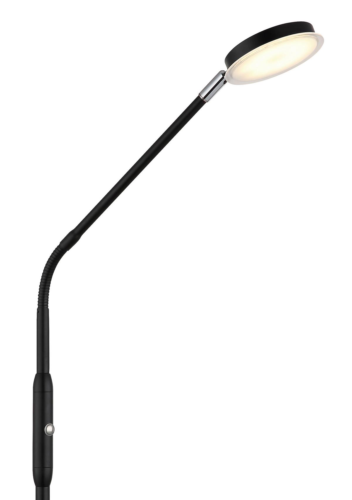 STOJACÍ LED LAMPA SILVIO - černá/čiré, Design, kov/plast (52/20/173cm)